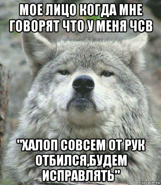 мое лицо когда мне говорят что у меня чсв "халоп совсем от рук отбился,будем исправлять", Мем    Гордый волк