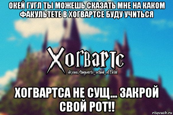 окей гугл ты можешь сказать мне на каком факультете в хогвартсе буду учиться хогвартса не сущ... закрой свой рот!!, Мем Хогвартс