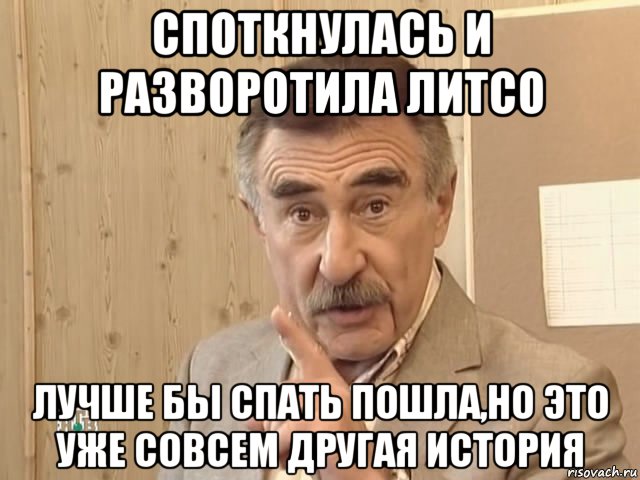 споткнулась и разворотила литсо лучше бы спать пошла,но это уже совсем другая история, Мем Каневский (Но это уже совсем другая история)