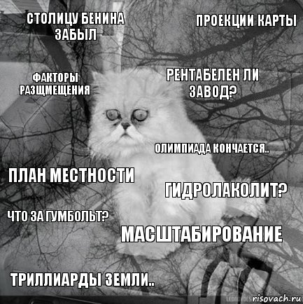 Столицу Бенина забыл Гидролаколит? Рентабелен ли завод? Триллиарды земли.. План местности Проекции карты Масштабирование Факторы разщмещения Что за Гумбольт? Олимпиада кончается.., Комикс  кот безысходность