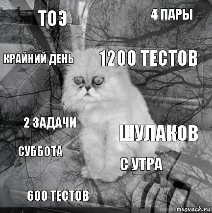 ТОЭ Шулаков 1200 тестов 600 тестов 2 задачи 4 пары с утра крайний день суббота , Комикс  кот безысходность