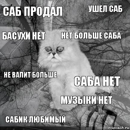 Саб продал Саба нет нет больше саба Сабик любимый не валит больше ушел саб Музыки нет басухи нет  , Комикс  кот безысходность