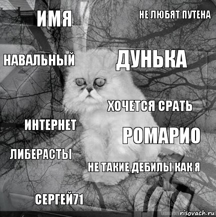 имя Ромарио дунька сергей71 интернет не любят путена не такие дебилы как я навальный либерасты хочется срать, Комикс  кот безысходность