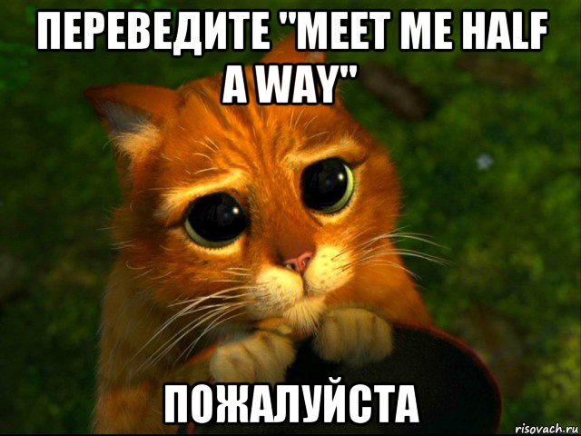 переведите "meet me half a way" пожалуйста, Мем кот из шрека