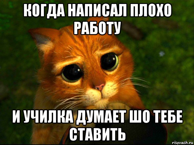 когда написал плохо работу и училка думает шо тебе ставить, Мем кот из шрека