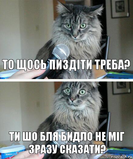 То щось пиздіти треба? Ти шо бля бидло не міг зразу сказати?, Комикс  кот с микрофоном