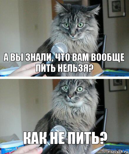 А вы знали, что вам вообще пить нельзя? Как не пить?, Комикс  кот с микрофоном