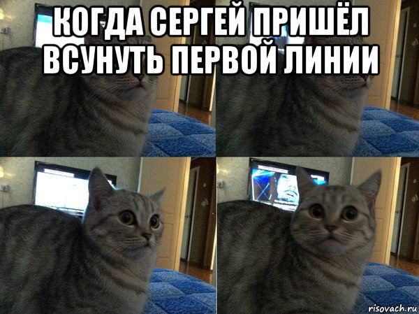 Надо убрать. Новый Мем с котом. Кот ждет Мем. Капец Мем кот. Кот работа Мем.