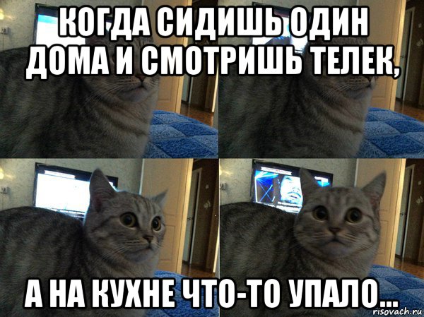 Где дома сидеть. Когда я дома один. Кот упал Мем. Когда сидишь один дома. Я одна дома.