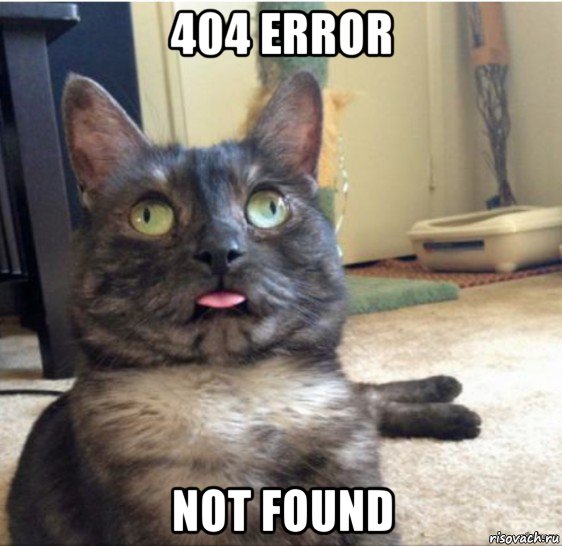 404 error not found, Мем   Кот завис