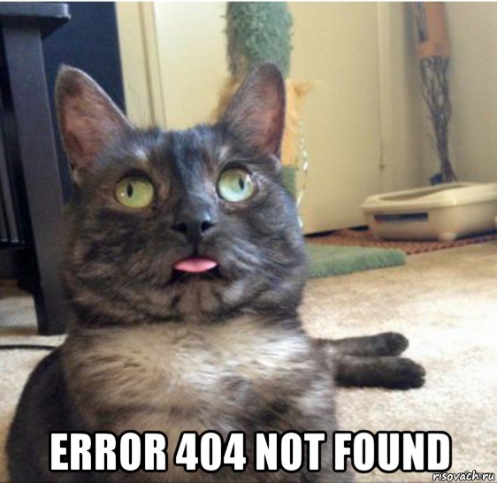  error 404 not found, Мем   Кот завис