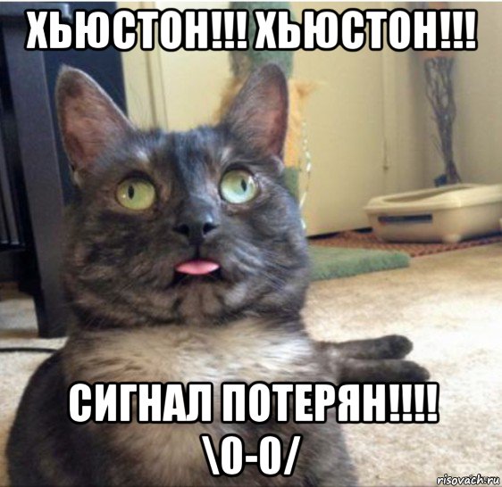 хьюстон!!! хьюстон!!! сигнал потерян!!!! \0-0/, Мем   Кот завис