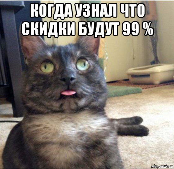 когда узнал что скидки будут 99 % , Мем   Кот завис