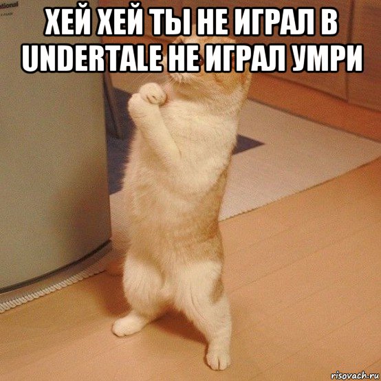 хей хей ты не играл в undertale не играл умри , Мем  котэ молится