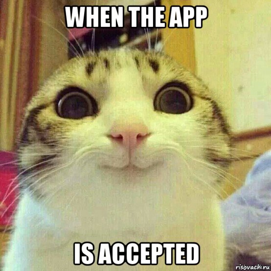 when the app is accepted, Мем       Котяка-улыбака