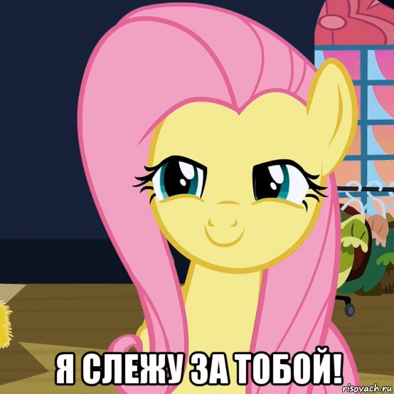  я слежу за тобой!, Мем  Mem Fluttershy