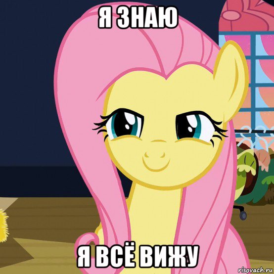 я знаю я всё вижу, Мем  Mem Fluttershy