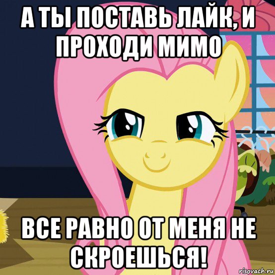 а ты поставь лайк, и проходи мимо все равно от меня не скроешься!, Мем  Mem Fluttershy