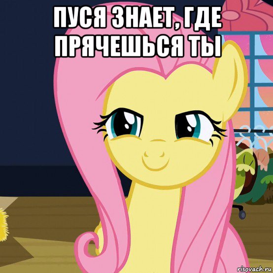 пуся знает, где прячешься ты , Мем  Mem Fluttershy