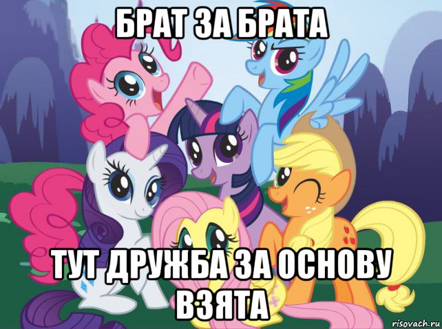 брат за брата тут дружба за основу взята, Мем My little pony