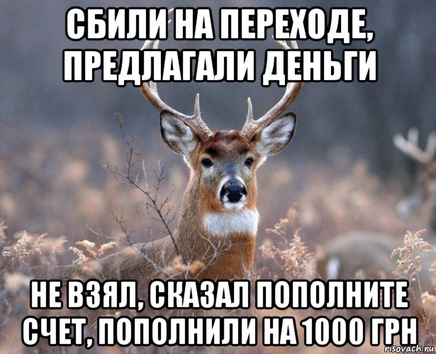 сбили на переходе, предлагали деньги не взял, сказал пополните счет, пополнили на 1000 грн