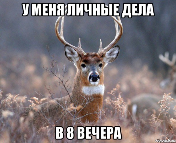 у меня личные дела в 8 вечера