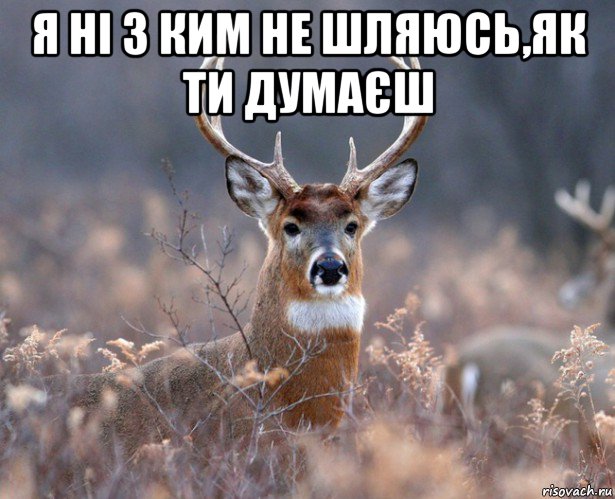 я ні з ким не шляюсь,як ти думаєш 