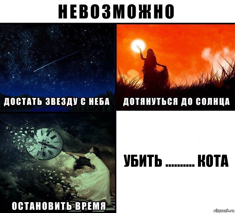 Убить .......... КОТА, Комикс Невозможно