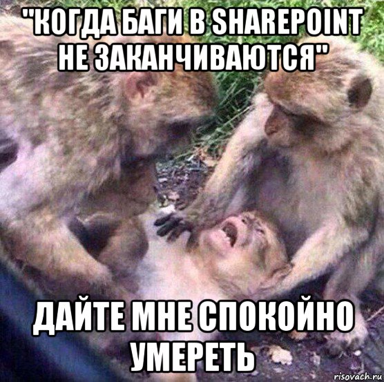 "когда баги в sharepoint не заканчиваются" дайте мне спокойно умереть