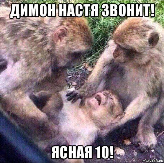 димон настя звонит! ясная 10!