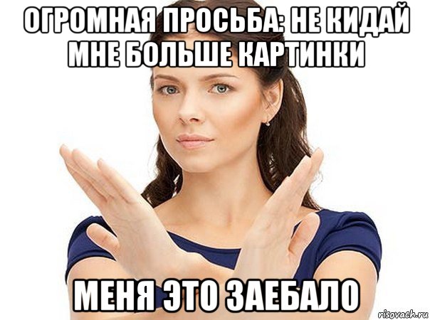 огромная просьба: не кидай мне больше картинки меня это заебало, Мем Огромная просьба