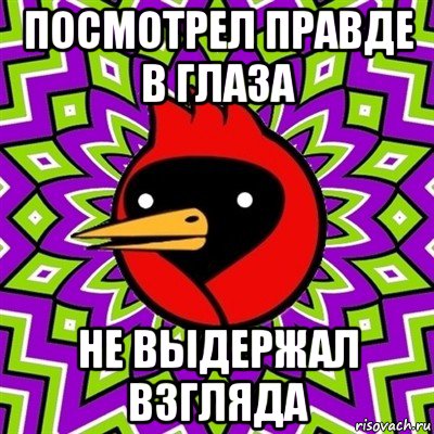 посмотрел правде в глаза не выдержал взгляда, Мем Омская птица