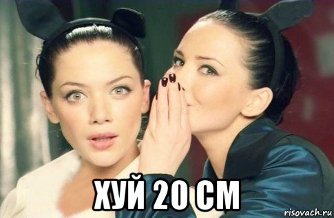  хуй 20 см, Мем  Он