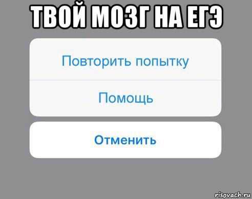 Твои мозги