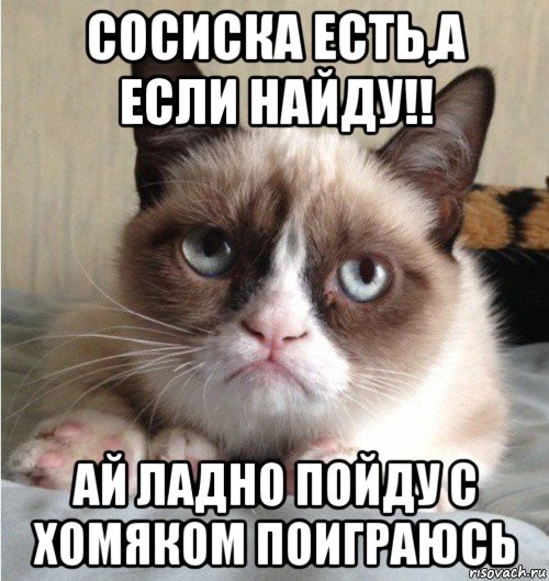 Найдите аи. Сосиски есть а если найду. А если найду. Обнимашки есть а если найду. От сосиски станет мне светлей.