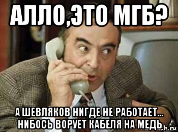 алло,это мгб? а шевляков нигде не работает... нибось ворует кабеля на медь