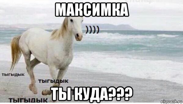 максимка ты куда???, Мем   Тыгыдык