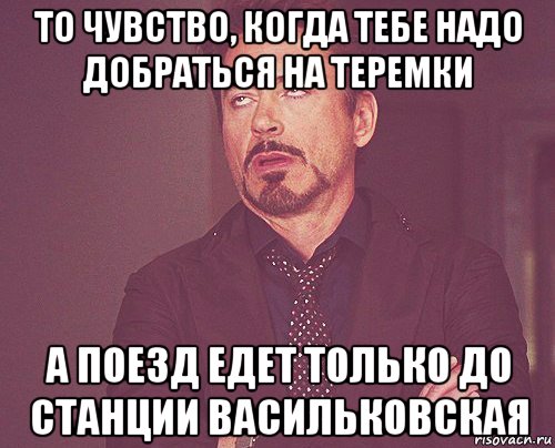 то чувство, когда тебе надо добраться на теремки а поезд едет только до станции васильковская, Мем твое выражение лица