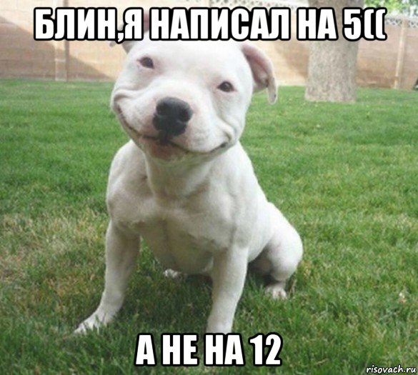 блин,я написал на 5(( а не на 12, Мем  улыбака