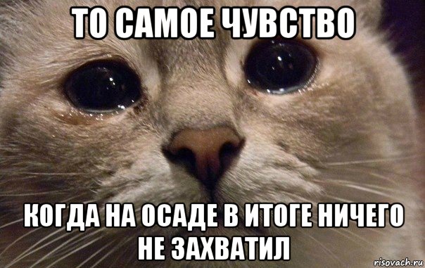 то самое чувство когда на осаде в итоге ничего не захватил, Мем   В мире грустит один котик