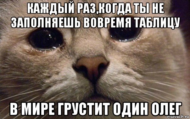 каждый раз,когда ты не заполняешь вовремя таблицу в мире грустит один олег, Мем   В мире грустит один котик