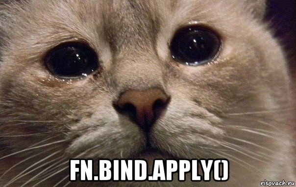  fn.bind.apply(), Мем   В мире грустит один котик