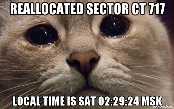 reallocated sector ct 717 local time is sat 02:29:24 msk, Мем   В мире грустит один котик