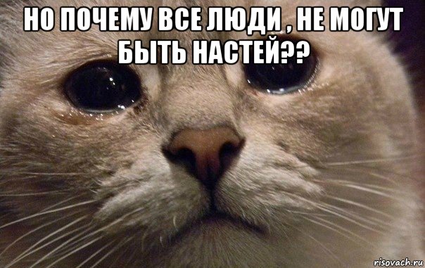 но почему все люди , не могут быть настей?? , Мем   В мире грустит один котик