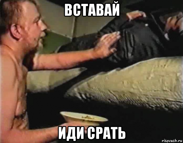 вставай иди срать