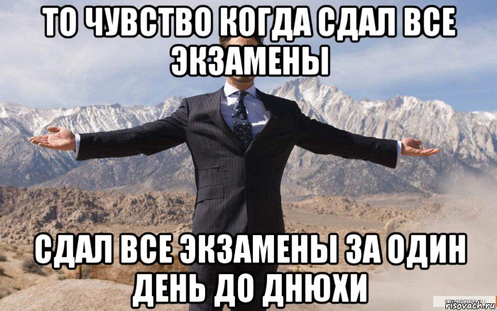 то чувство когда сдал все экзамены сдал все экзамены за один день до днюхи, Мем железный человек