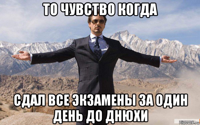 то чувство когда сдал все экзамены за один день до днюхи, Мем железный человек