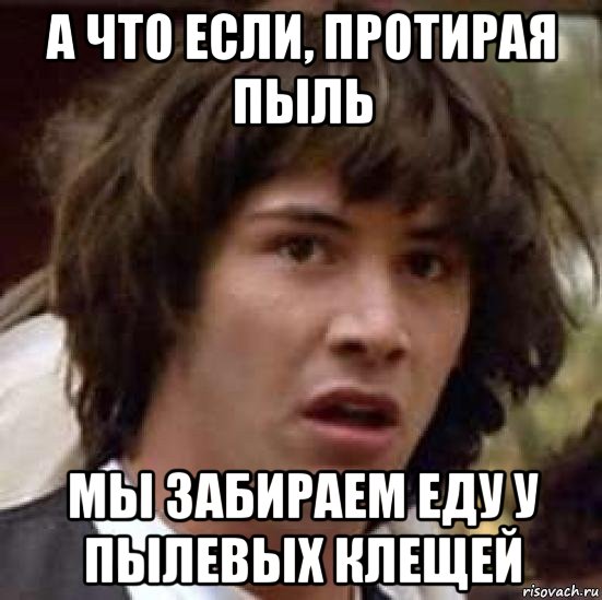 а что если, протирая пыль мы забираем еду у пылевых клещей, Мем А что если (Киану Ривз)