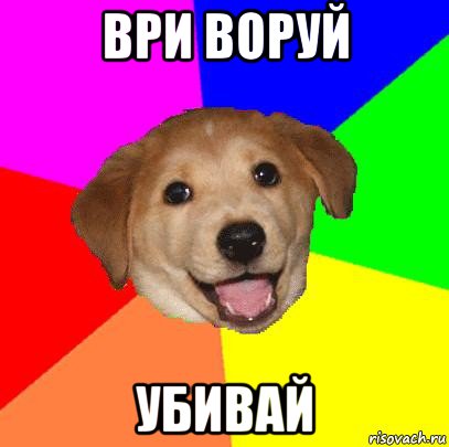 ври воруй убивай, Мем Advice Dog