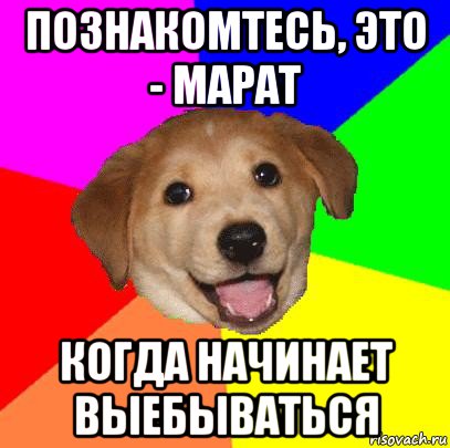 познакомтесь, это - марат когда начинает выебываться, Мем Advice Dog